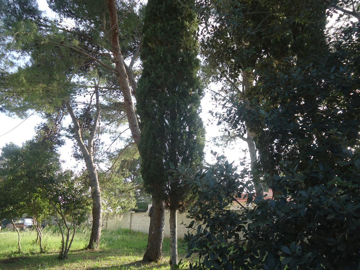 Antico Casale Il Sambuco Bed & Breakfast Manduria Exterior photo